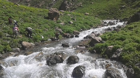 pancar-1.jpg pancar-1.jpg