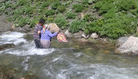 pancar-3.jpg pancar-3.jpg
