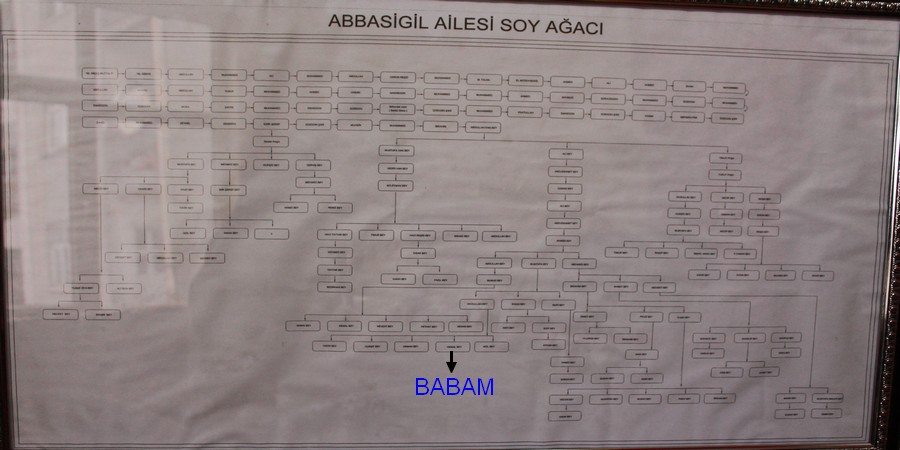 secere.-.20141116193214.jpg