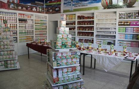 sifali-bitkiler-dunyasi-4.jpg sifali-bitkiler-dunyasi-4.jpg