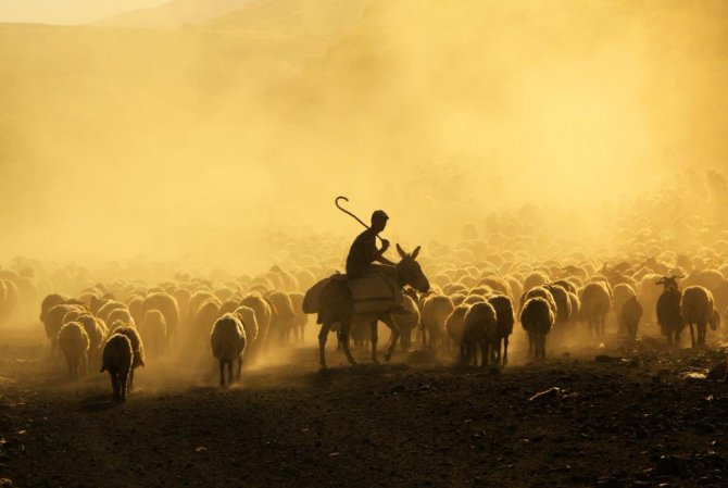 surulerin-tozlu-yolculugu-gorsel-solen-sunuyor-1.jpg