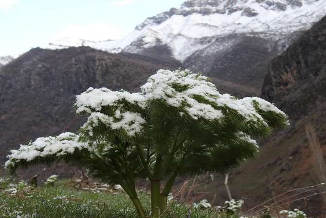 uludere-de-iki-mevsim-bir-arada.jpg