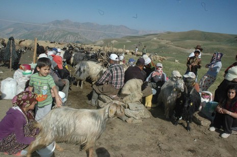 yayla-1.jpg