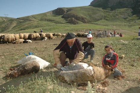 yayla-2.jpg