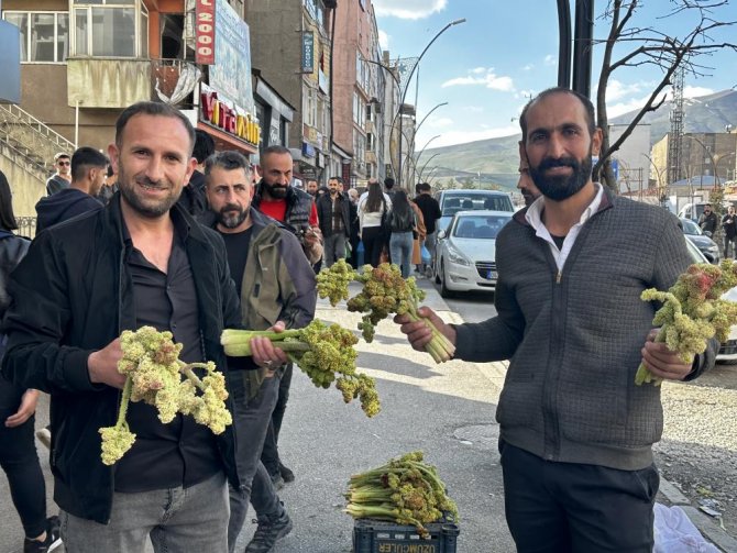 yuksekovada-yayla-muzunun-destesi-100-tlden-satisa-cikarildi-1.jpg